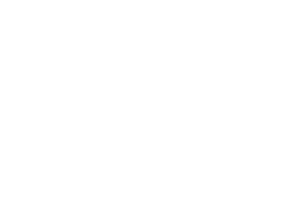 fsnlogo white